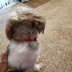 Meet your Posher, Randi